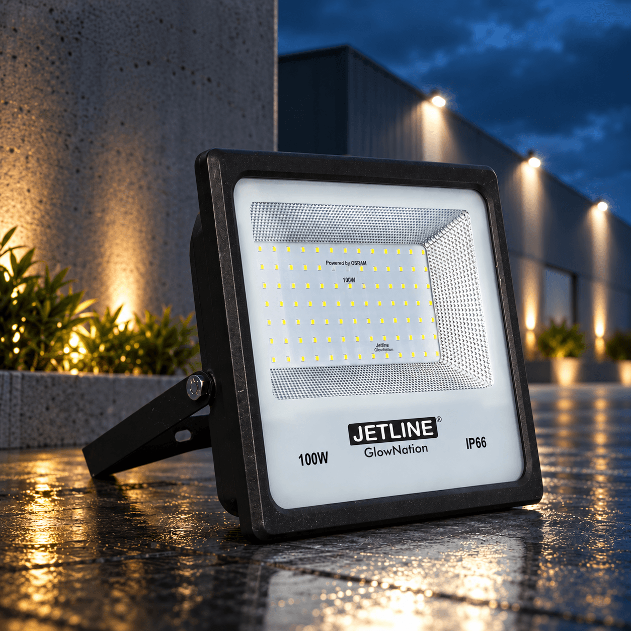 TruGlow Floodlight 100W