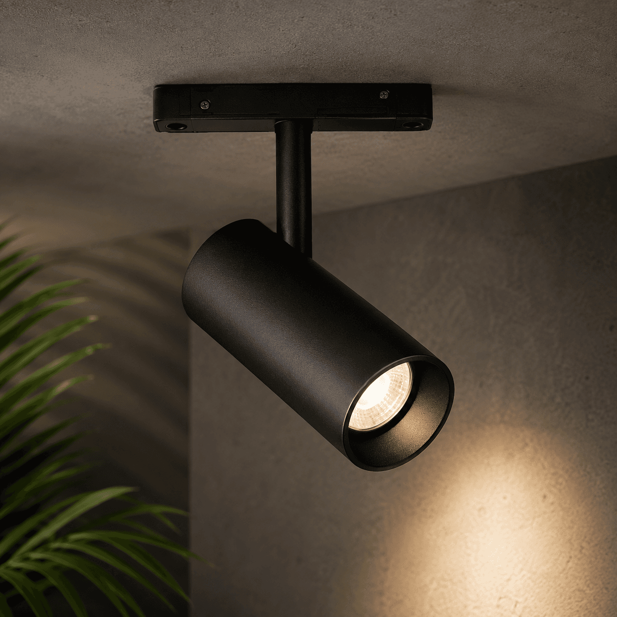 Track Light